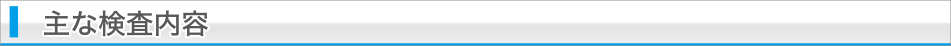 主な検査内容